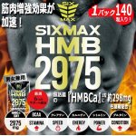 画像1: 筋肉革命SHAPE UP&MUSCLE!「SIXMAX HMB2975」1パック (1)