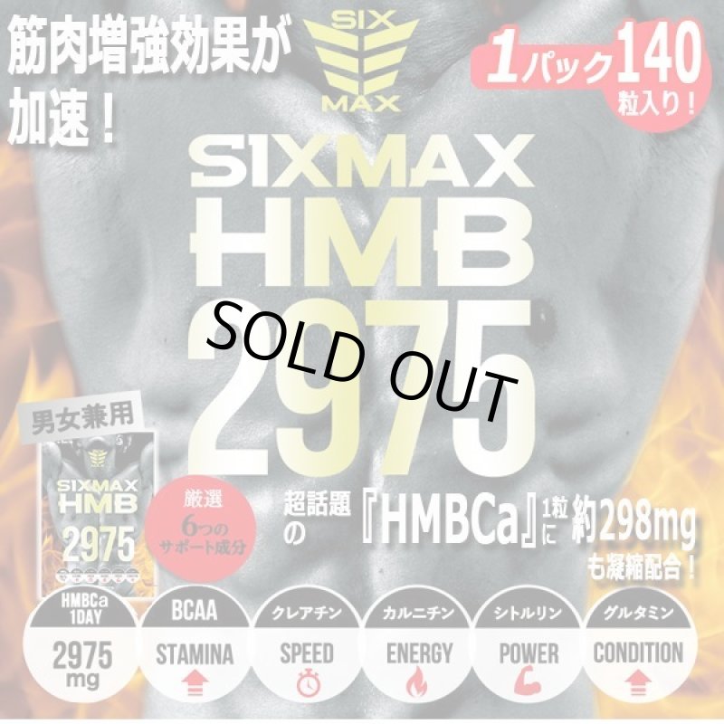 画像1: 筋肉革命SHAPE UP&MUSCLE!「SIXMAX HMB2975」1パック (1)