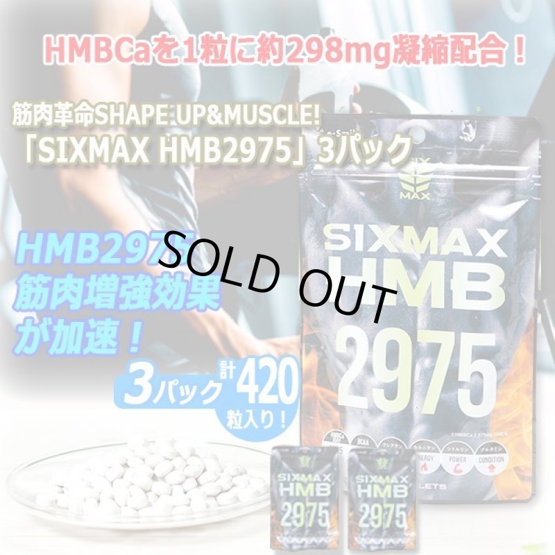 画像8: 筋肉革命SHAPE UP&MUSCLE!「SIXMAX HMB2975」3パック (8)