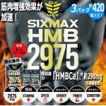 画像1: 筋肉革命SHAPE UP&MUSCLE!「SIXMAX HMB2975」3パック (1)