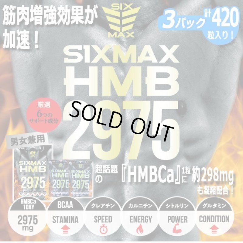 画像1: 筋肉革命SHAPE UP&MUSCLE!「SIXMAX HMB2975」3パック (1)