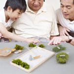 画像3: 苔プリx枯山水キット (3)