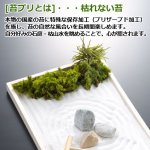 画像2: 苔プリx枯山水キット (2)