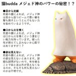 画像6: 幸せの守り神「猫buddhaメジェド神」 (6)
