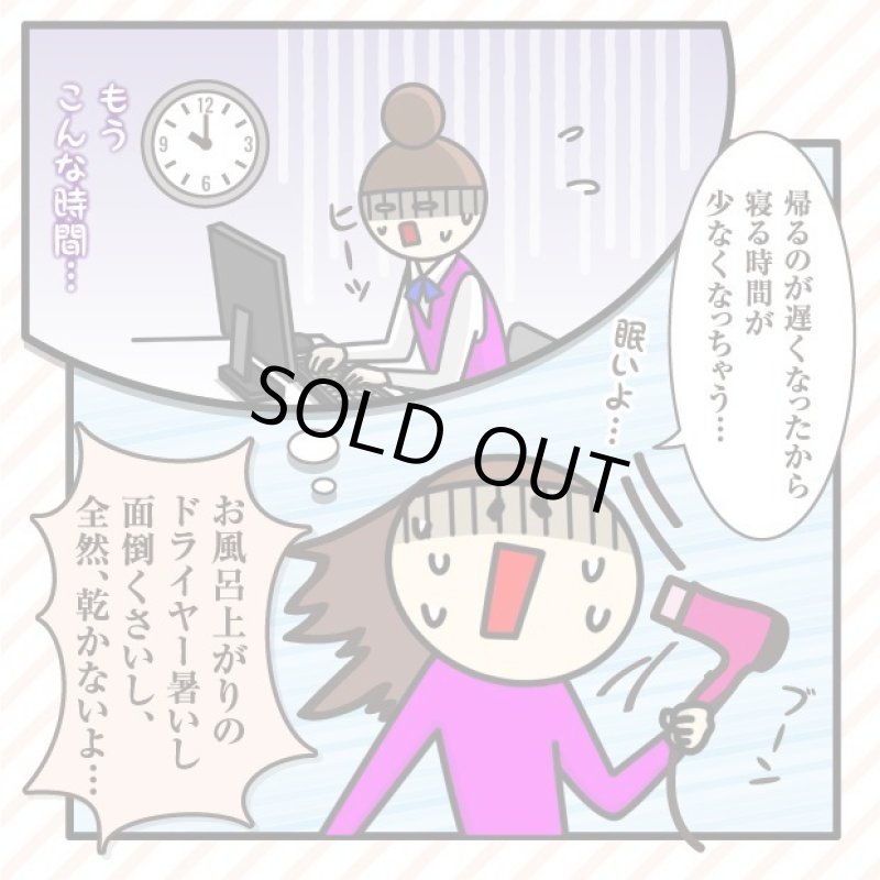 画像5: クイックヘアドライミストプレミアム (5)