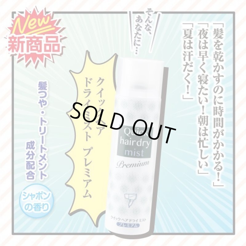 画像9: クイックヘアドライミストプレミアム (9)