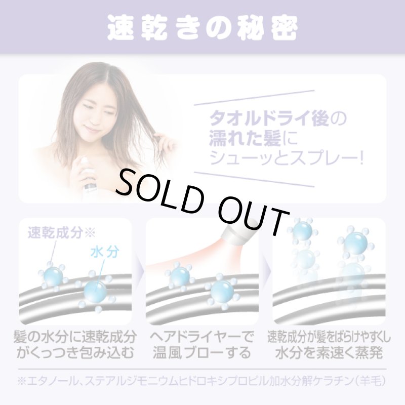 画像3: クイックヘアドライミストプレミアム (3)