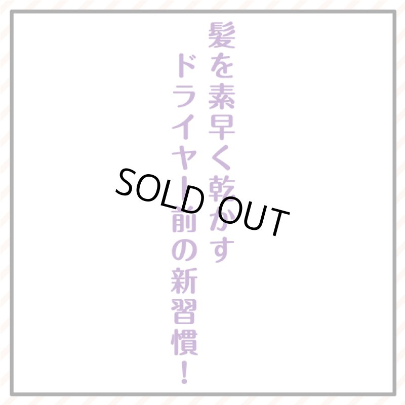 画像4: クイックヘアドライミストプレミアム (4)