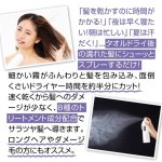 画像2: クイックヘアドライミストプレミアム (2)