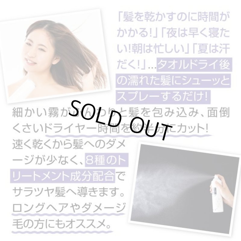 画像2: クイックヘアドライミストプレミアム (2)