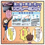 画像10: クイックヘアドライミストプレミアム (10)