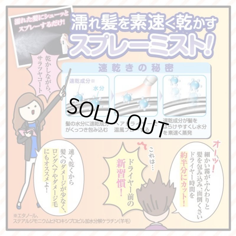 画像10: クイックヘアドライミストプレミアム (10)