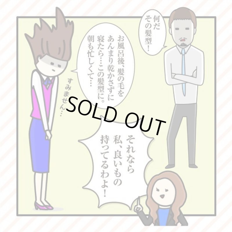 画像8: クイックヘアドライミストプレミアム (8)