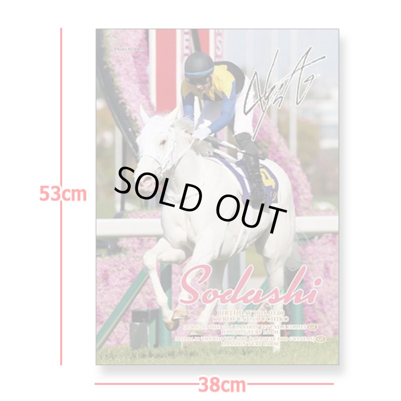 画像5: 「ソダシ」ジグソーパズル500ピース (5)