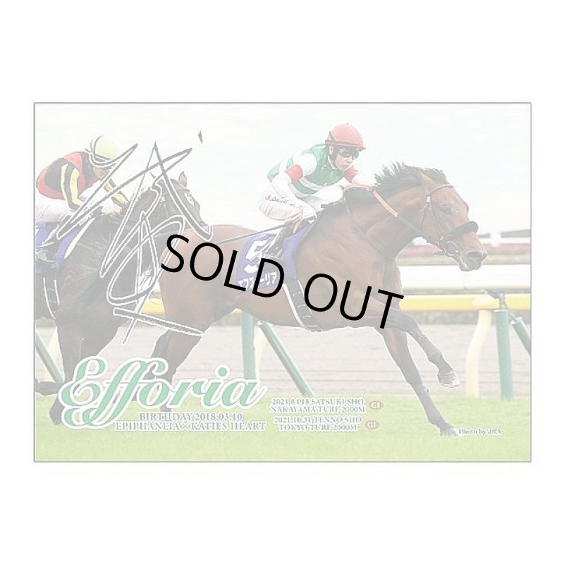 画像2: 「エフフォーリア」ジグソーパズル500ピース (2)