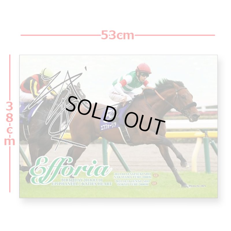 画像5: 「エフフォーリア」ジグソーパズル500ピース (5)