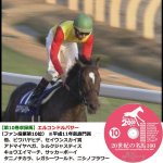 画像11: DVD「20世紀の名馬100」永久保存版全10枚組 (11)