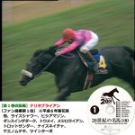 画像2: DVD「20世紀の名馬100」永久保存版全10枚組 (2)