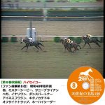 画像9: DVD「20世紀の名馬100」永久保存版全10枚組 (9)