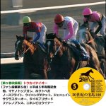 画像6: DVD「20世紀の名馬100」永久保存版全10枚組 (6)