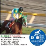 画像5: DVD「20世紀の名馬100」永久保存版全10枚組 (5)