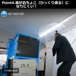 画像11: 宮内庁御用ホワイトローズ／高級ワンタッチビニール長傘「カテールMI7」 (11)