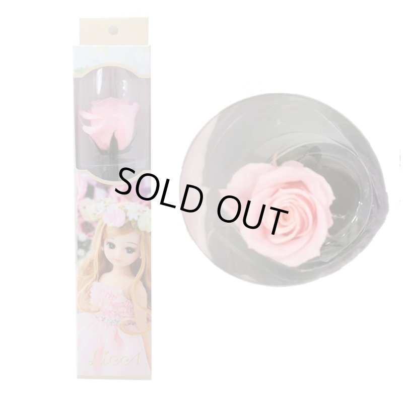 画像16: プリザーブドフラワー「Short Stem Rose LiccA リカちゃん プリザローズ ギフトパッケージ」 (16)