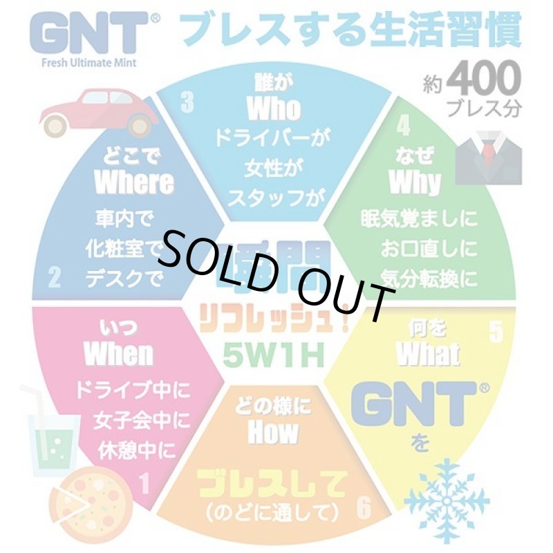 画像5: 新感覚スチームブレス!電子清涼ミストGNT(2個+専用ネックストラップ)セット (5)