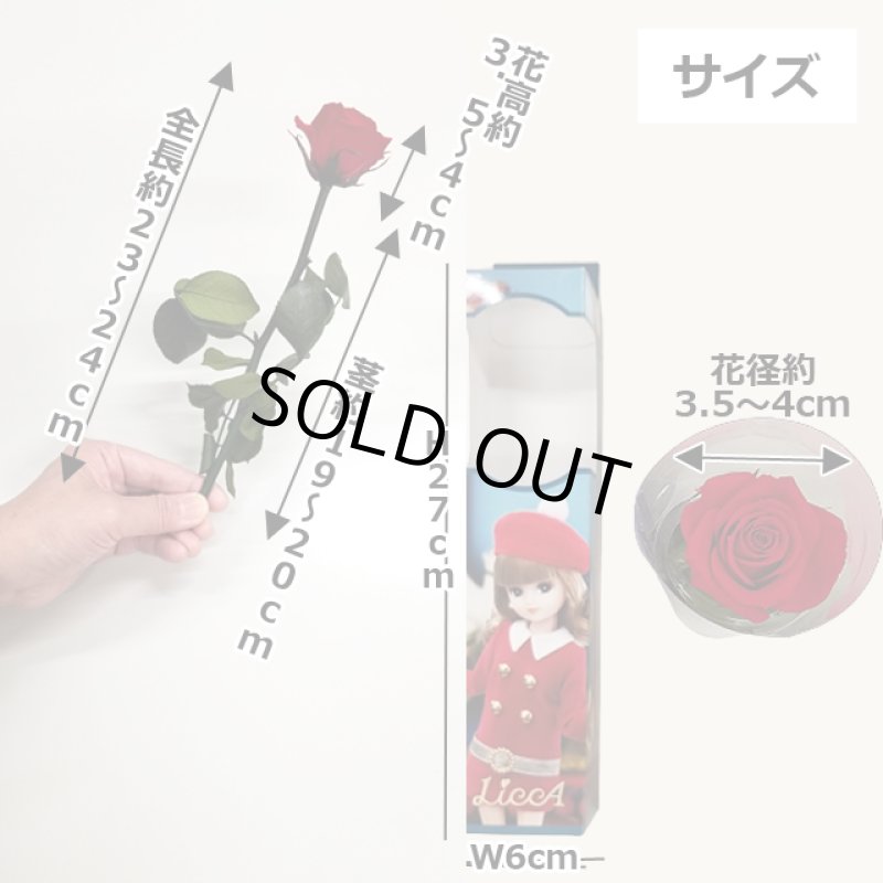 画像15: プリザーブドフラワー「Short Stem Rose LiccA リカちゃん プリザローズ ギフトパッケージ」 (15)