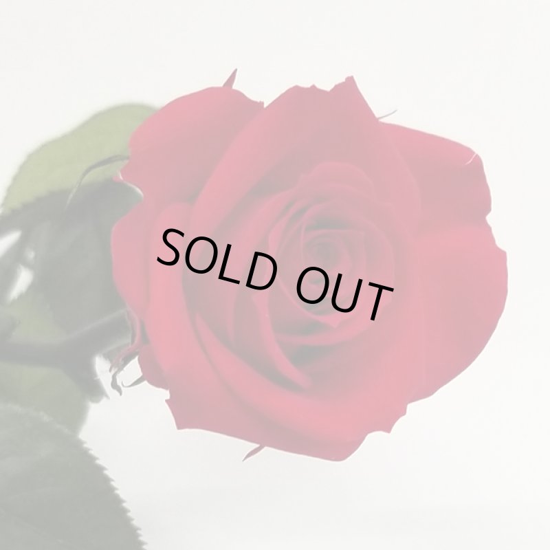 画像14: プリザーブドフラワー「Short Stem Rose LiccA リカちゃん プリザローズ ギフトパッケージ」 (14)