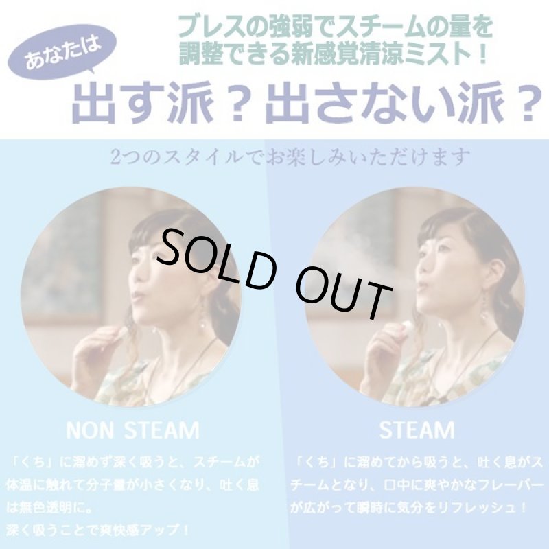 画像4: 新感覚スチームブレス!電子清涼ミストGNT(2個+専用ネックストラップ)セット (4)