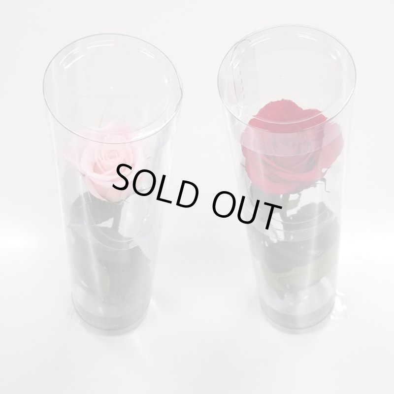 画像6: プリザーブドフラワー「Short Stem Rose LiccA リカちゃん プリザローズ ギフトパッケージ」 (6)