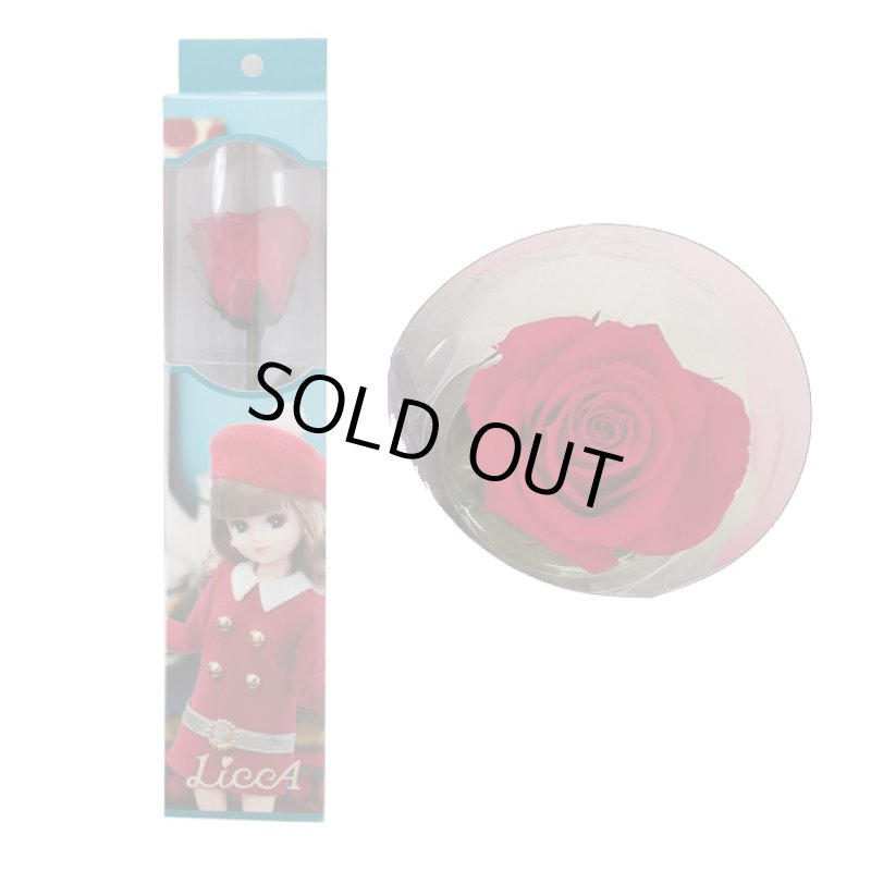 画像17: プリザーブドフラワー「Short Stem Rose LiccA リカちゃん プリザローズ ギフトパッケージ」 (17)