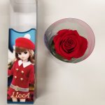 画像12: プリザーブドフラワー「Short Stem Rose LiccA リカちゃん プリザローズ ギフトパッケージ」 (12)