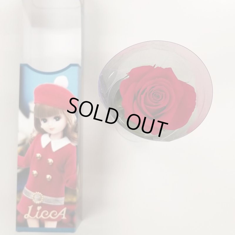 画像12: プリザーブドフラワー「Short Stem Rose LiccA リカちゃん プリザローズ ギフトパッケージ」 (12)