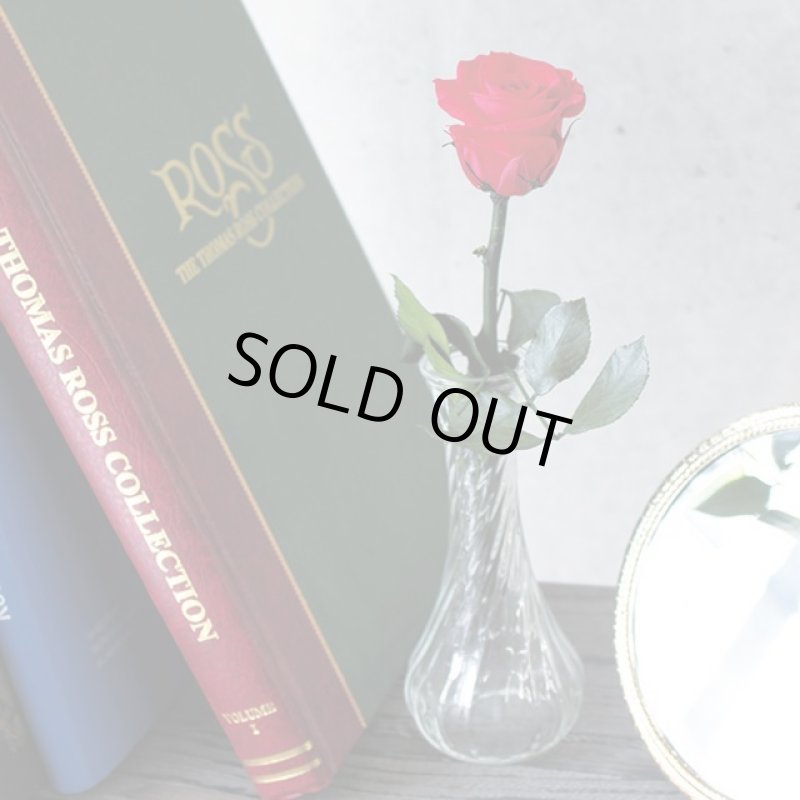 画像4: プリザーブドフラワー「MINI Bell Rose ステム付ローズ ミニベルローズ ギフトパッケージ」2BOXセット (4)