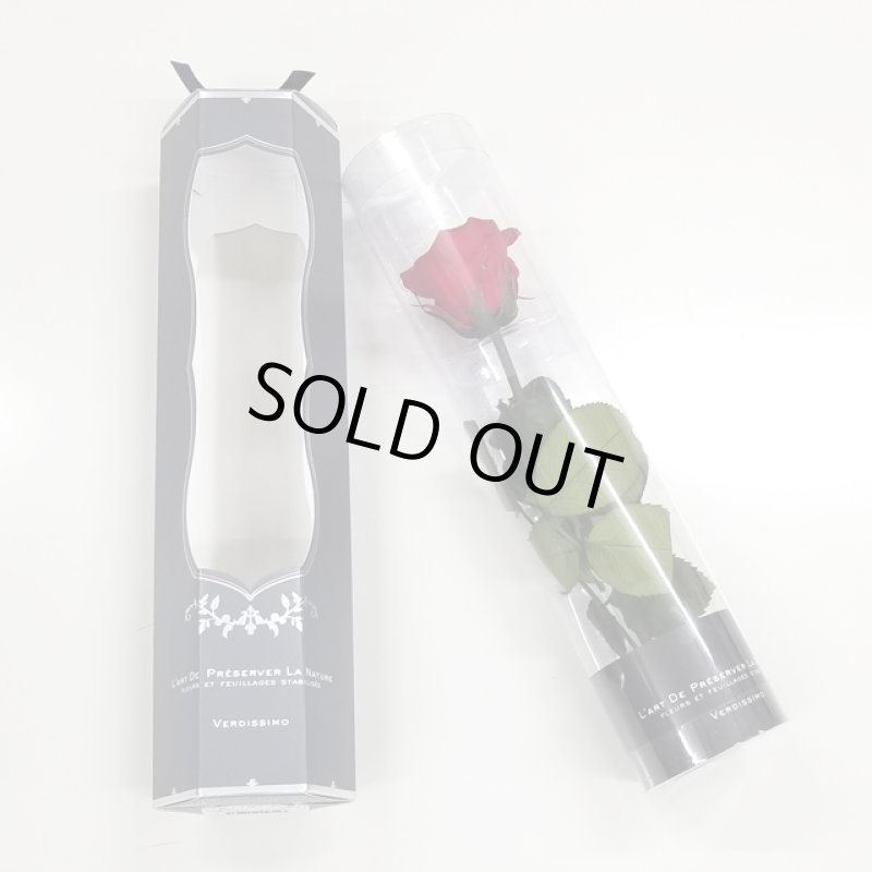 画像6: プリザーブドフラワー「MINI Bell Rose ステム付ローズ ミニベルローズ ギフトパッケージ」2BOXセット (6)