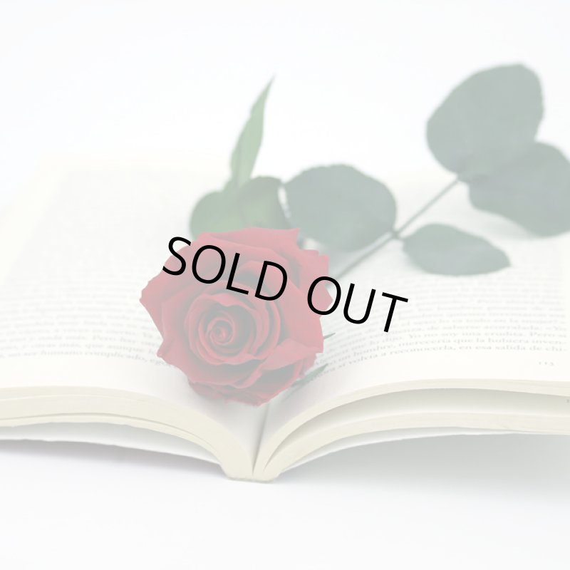 画像3: プリザーブドフラワー「MINI Bell Rose ステム付ローズ ミニベルローズ ギフトパッケージ」2BOXセット (3)