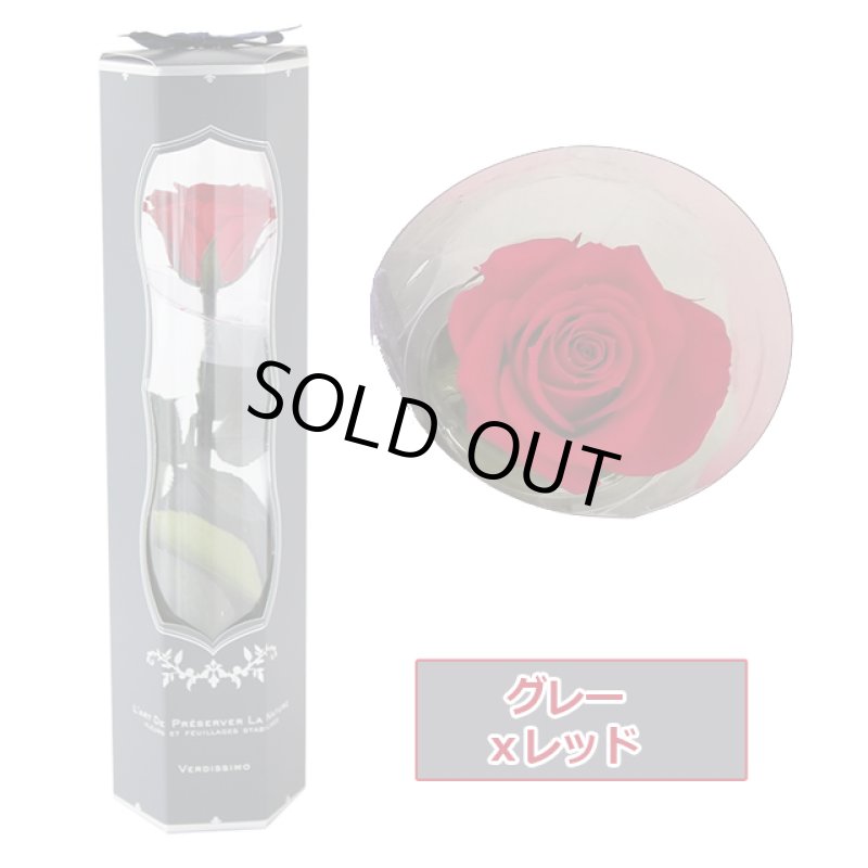 画像18: プリザーブドフラワー「MINI Bell Rose ステム付ローズ ミニベルローズ ギフトパッケージ」2BOXセット (18)