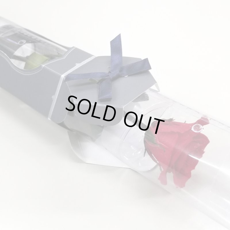 画像8: プリザーブドフラワー「MINI Bell Rose ステム付ローズ ミニベルローズ ギフトパッケージ」2BOXセット (8)