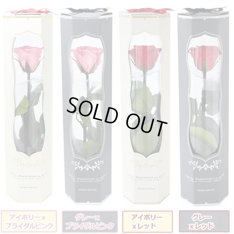 画像5: プリザーブドフラワー「MINI Bell Rose ステム付ローズ ミニベルローズ ギフトパッケージ」2BOXセット (5)