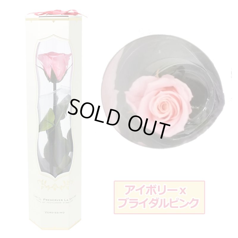 画像15: プリザーブドフラワー「MINI Bell Rose ステム付ローズ ミニベルローズ ギフトパッケージ」2BOXセット (15)