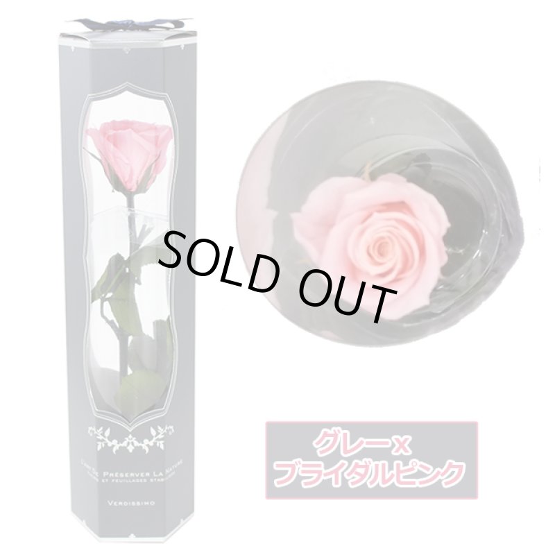 画像16: プリザーブドフラワー「MINI Bell Rose ステム付ローズ ミニベルローズ ギフトパッケージ」2BOXセット (16)