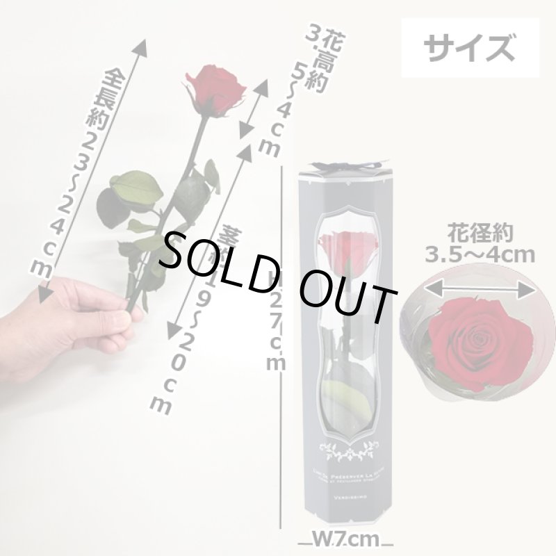 画像14: プリザーブドフラワー「MINI Bell Rose ステム付ローズ ミニベルローズ ギフトパッケージ」2BOXセット (14)