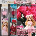 画像1: プリザーブドフラワー「Short Stem Rose LiccA リカちゃん プリザローズ ギフトパッケージ」 (1)