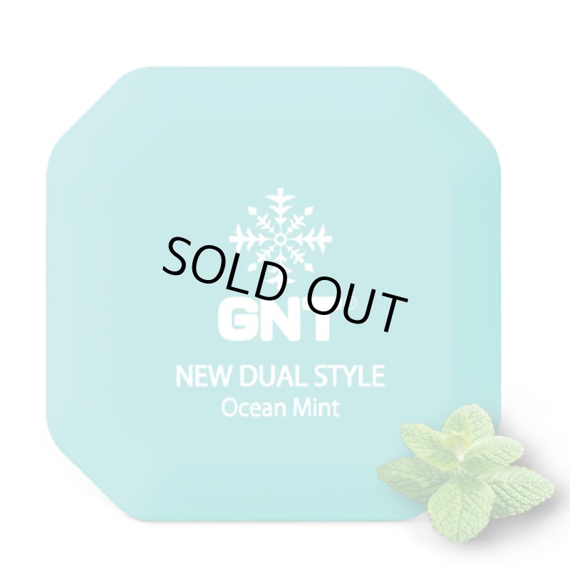 画像11: 新感覚スチームブレス!電子清涼ミストGNT(2個+専用ネックストラップ)セット (11)