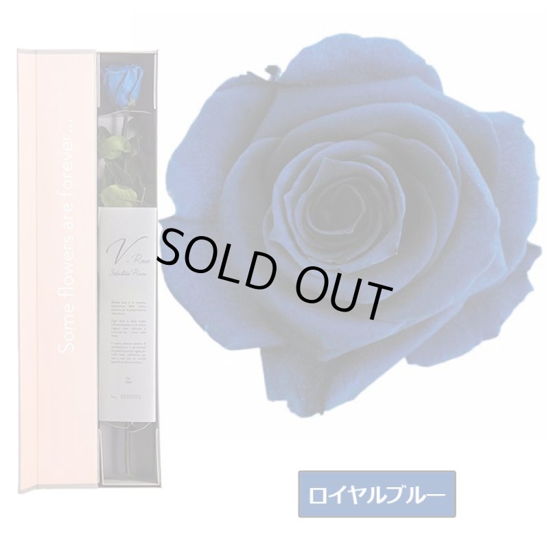 画像15: プリザーブドフラワー「V-Rose Selection Priviee ヴィローズ セレクション プリヴェ」 (15)
