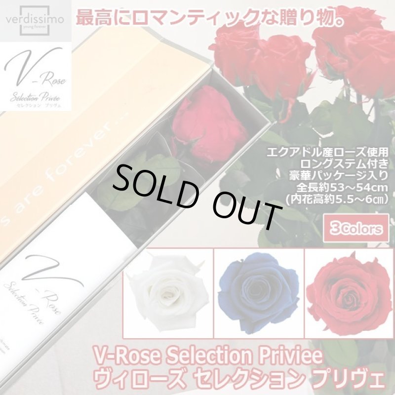 画像1: プリザーブドフラワー「V-Rose Selection Priviee ヴィローズ セレクション プリヴェ」 (1)