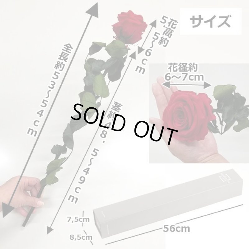 画像12: プリザーブドフラワー「V-Rose Selection Priviee ヴィローズ セレクション プリヴェ」 (12)