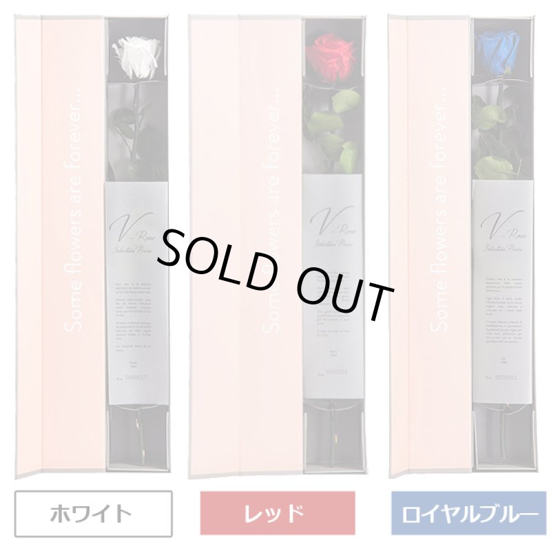 画像6: プリザーブドフラワー「V-Rose Selection Priviee ヴィローズ セレクション プリヴェ」 (6)